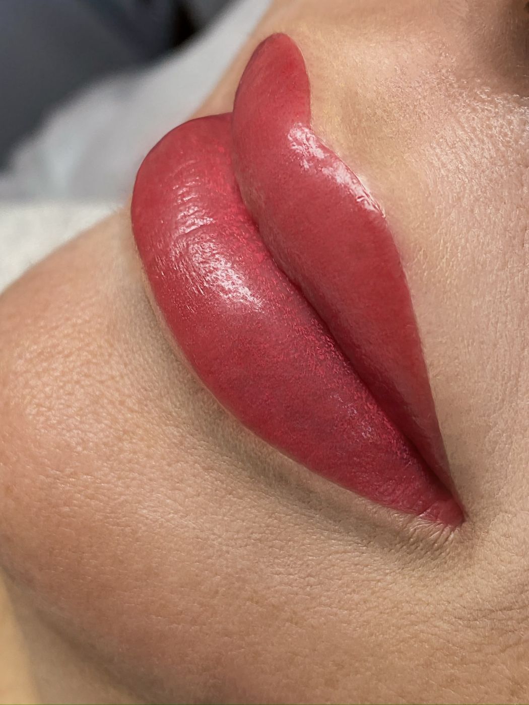 Colección de resultados de micropigmentación de cejas, labios y eyeliner 4