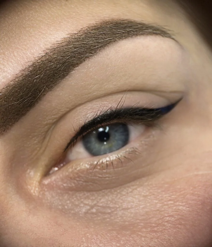Cejas pelo a pelo — Colección de resultados de micropigmentación de cejas, labios y eyeliner
