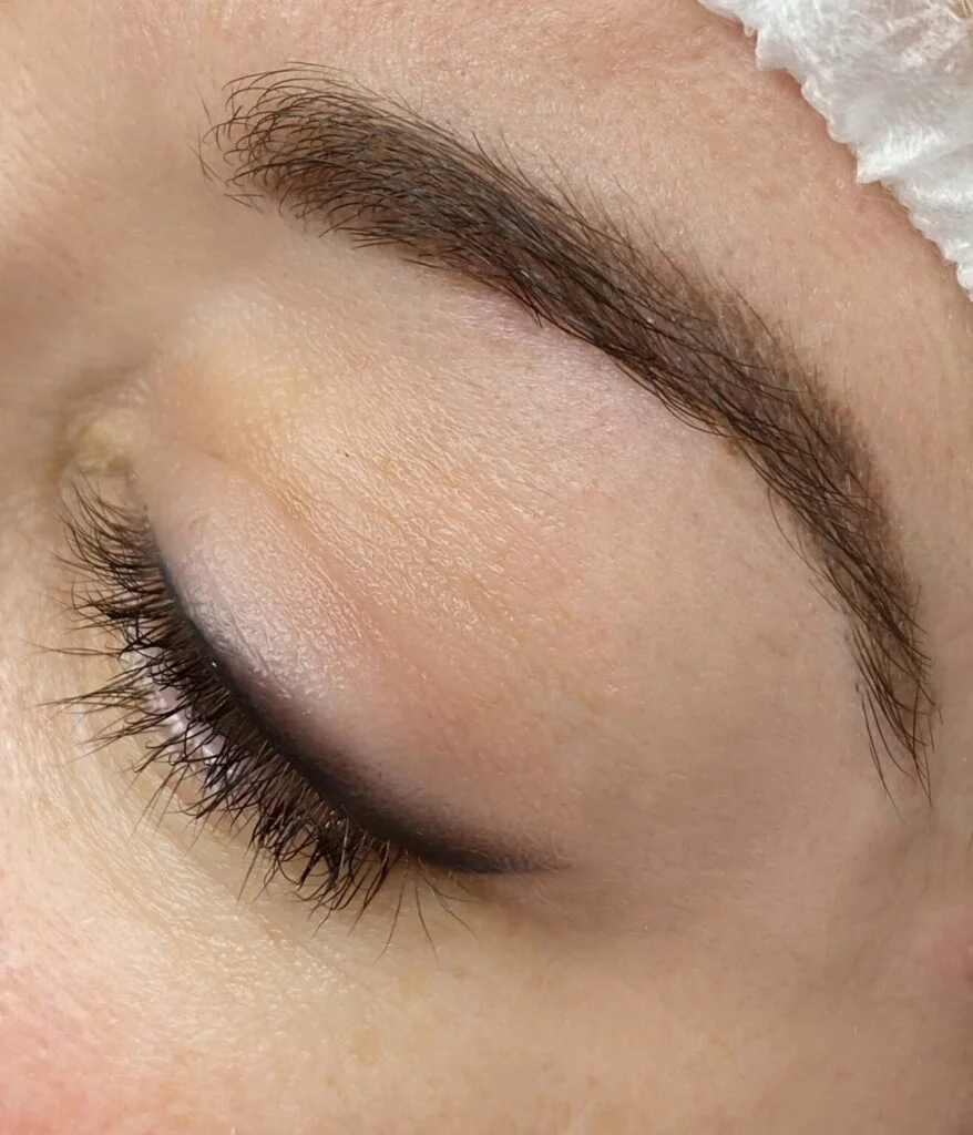 Microshading de cejas — Colección de resultados de micropigmentación de cejas, labios y eyeliner