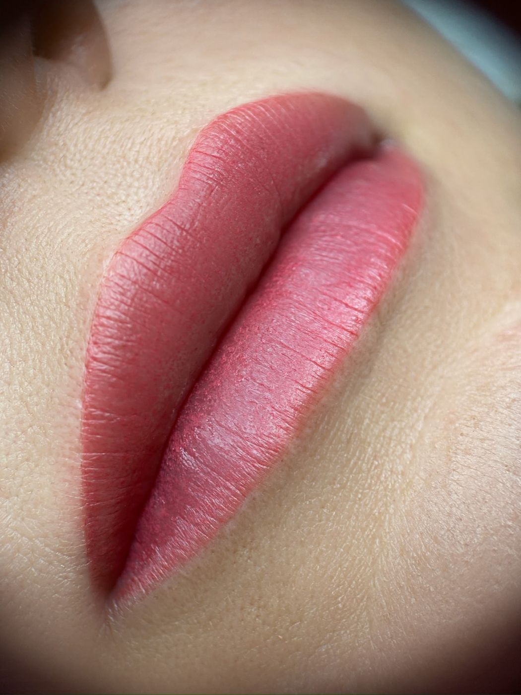 Colección de resultados de micropigmentación de cejas, labios y eyeliner 1